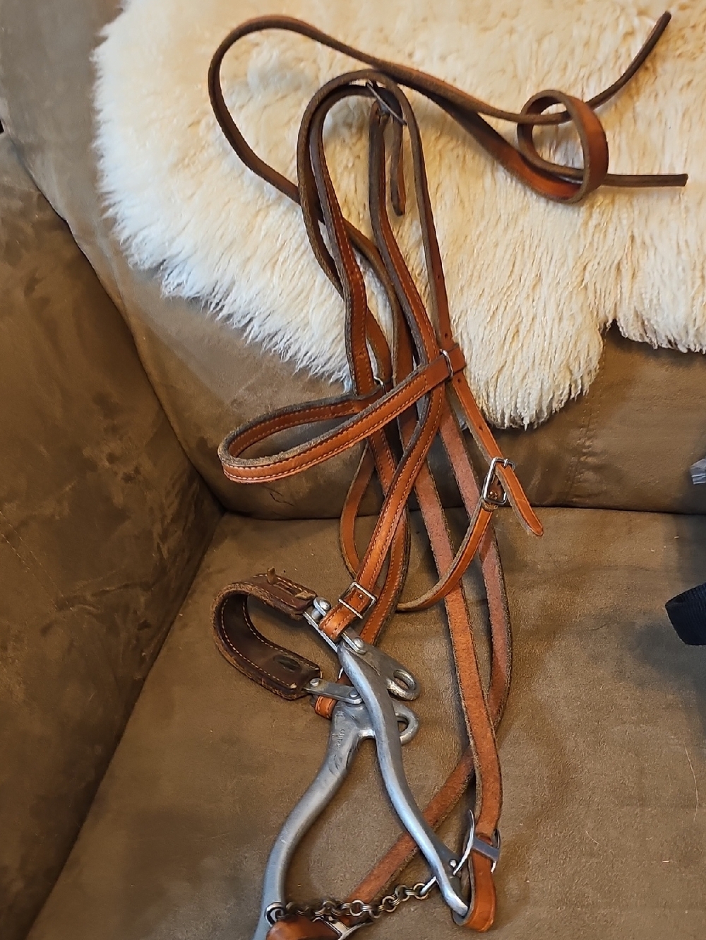SLEISTER HACKAMORE WITH BRIDLE